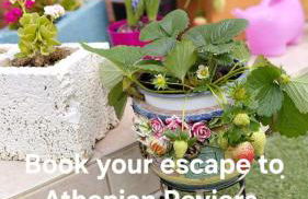 S&M Cozy Garden Lagonissi - Photo 57