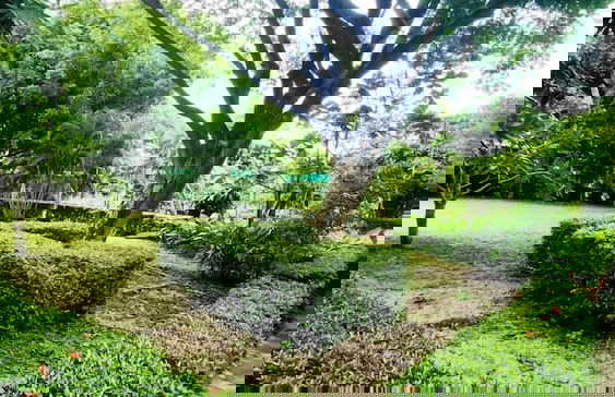 Natura Ravee Greenstay - Photo 66