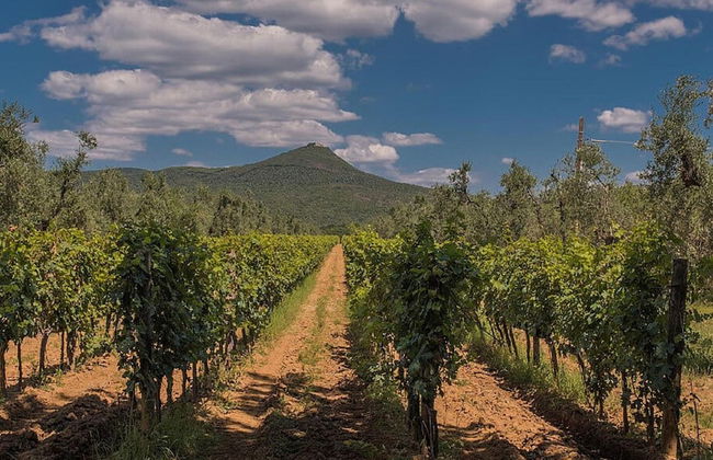 Apartment Monteverdi With Sauna & Pool - Foto 22