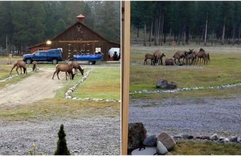 Cozy Lodge Rental near Bitterroot Valley, Montana - Foto 9