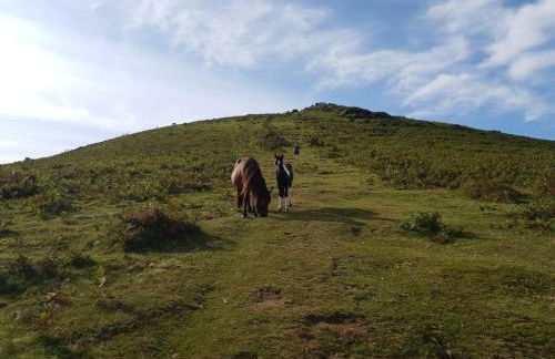 Appartement cosy au calme - Foto 14