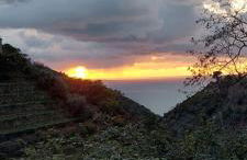 La Caponera - Photo 24