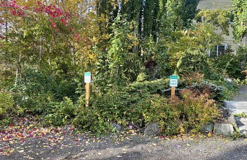 3100 SF 2 en suites, dedicated theatre-game room - Photo 18