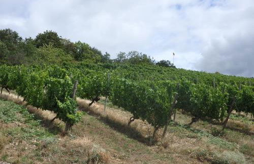 Fewoimdorf - Foto 17