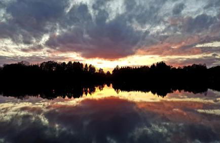 Gîte du Mont Gérard - Foto 14