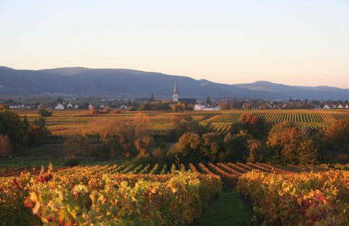 Ferienwohnung Spatzennest in Edesheim - Foto 10