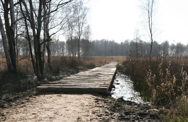 Holiday Home With Garden in Den Ham - Foto 34