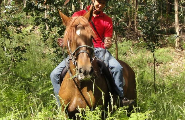 Stone House National Park - Foto 18