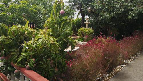 Villa La Victoria - Foto 3