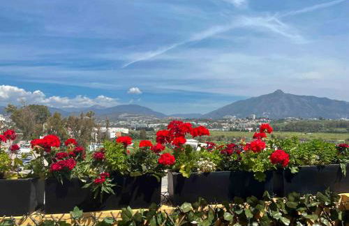 62 - Penthouse in Los Almendros with fantastic vie - Photo 21