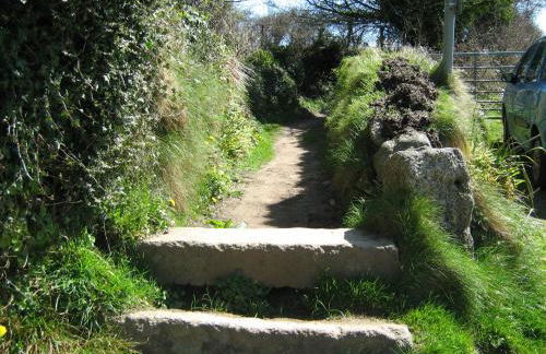 The Cottage, Little Trembroath - Photo 17