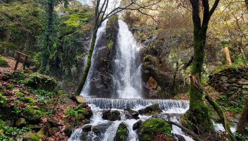 Beecaramulo-Apiturismo - Foto 4