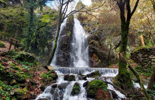 Beecaramulo-Apiturismo - Foto 4