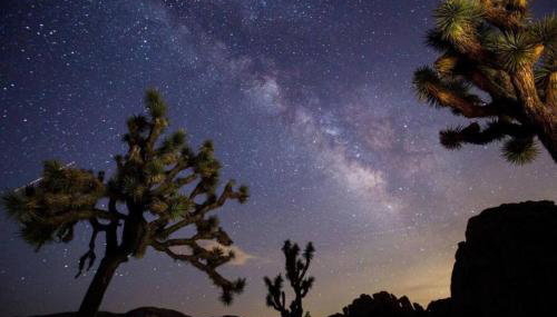 Palm Springs 2BR & 2BA Stylish Gated Treehouse, Private Pool & Hot Tub, Near Downtown Attractions - Foto 5