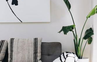 'The Studio' Designer, seaside cottage - Foto 21