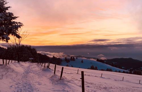 Heimatliebe neu - Foto 2