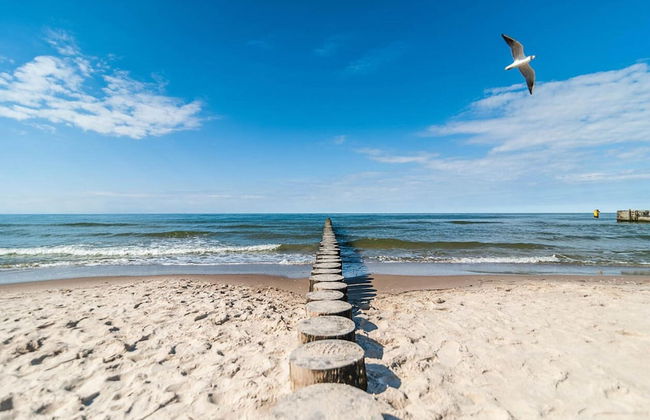 Holiday Cottages, Sauna, Whirlpool, Mrzezyno - Photo 22