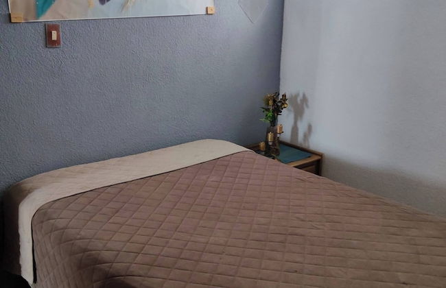 Mi Mejor Estancia Experience Authentic Mexican Charm - Foto 2