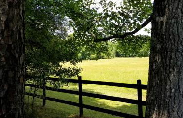 Stylish Tiny House for Glamping in South Carolina - Foto 15