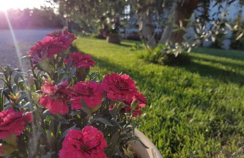 Agriturismo Macchia di Riso - Foto 8