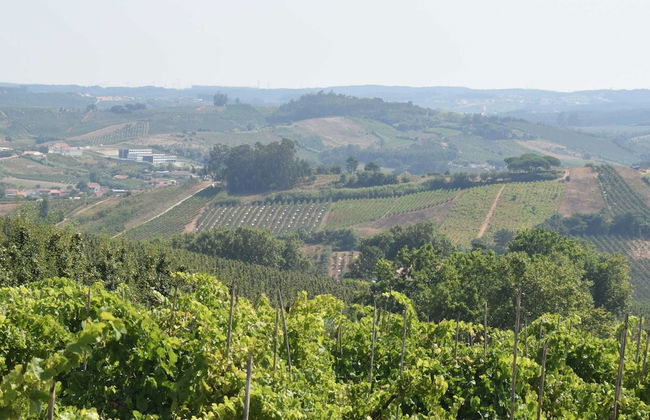 Cozy Villa near Óbidos with Private Swimming Pool - Foto 34