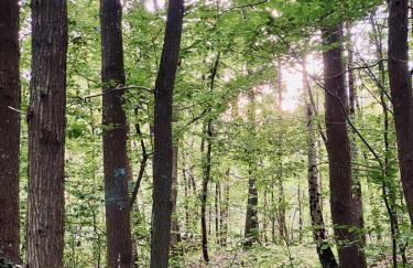 Country house in Forest of Rambouillet - Foto 17