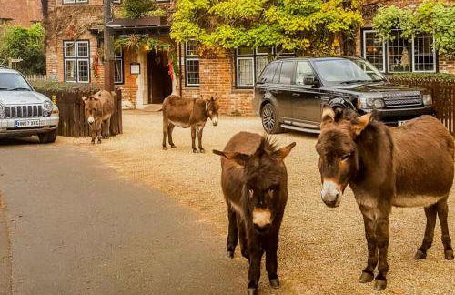 Stunning Luxury Apartment in Central Lymington - Foto 49