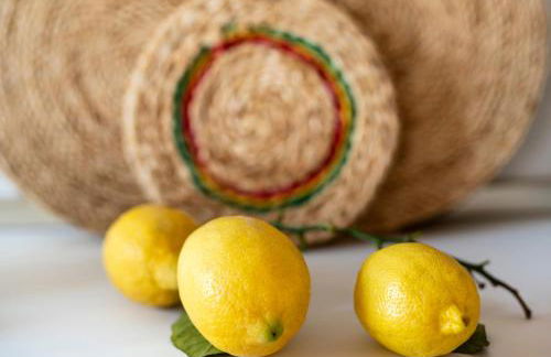 Agriturismo Sesta Presa - Foto 8