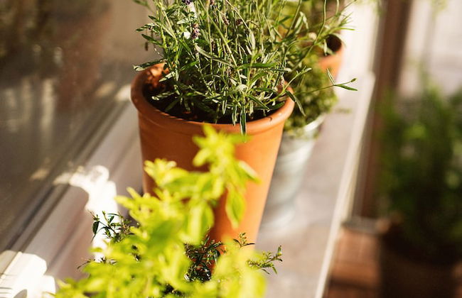 Garden apartment - Foto 20