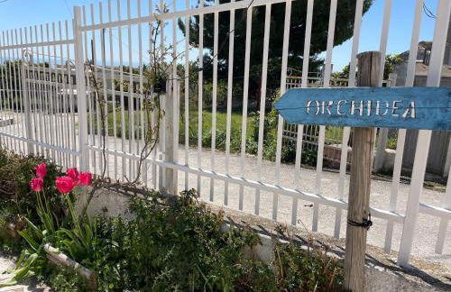 B&B Case Vacanza Orchidea marina di Macchia a Mattinata Gargano - Foto 17