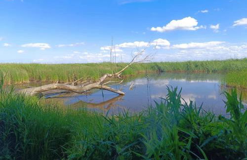 Farmstay Neuendorfkrug, Lütow - Foto 69