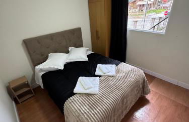 Container 260 - Foto 13