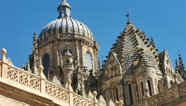 Visita obligada a pie por Salamanca (podría ser bilingüe) - Foto 4, Cúpulas de las catedrales