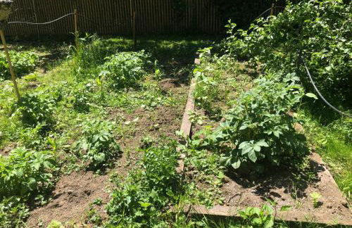 Blackberry Bunkhouse - Foto 41