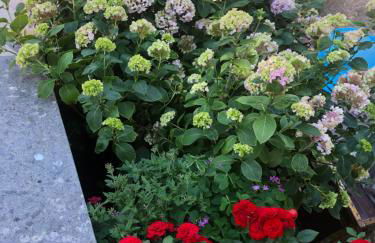 Alloggio da Fazanca - Foto 13