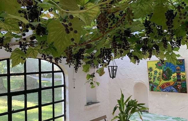 Bäddar & Ängar - Photo 55