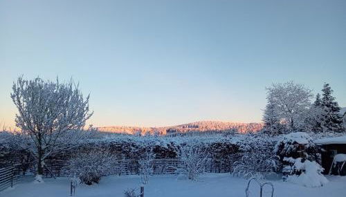 Fewo NATURgeTREU - Foto 4