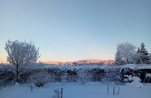 Fewo NATURgeTREU - Foto 4