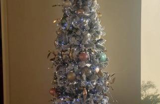 Lakeside Grande Villa - Foto 34