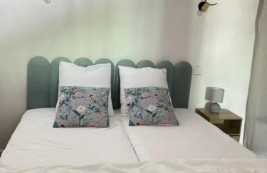 La Lauze Ascou - Foto 14