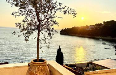 Apartments Domani - Foto 1