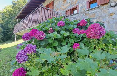 La Rosa Bianca - Foto 21