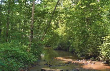 Peaceful Hideaway Treehouse near Little River Canyon - Foto 34