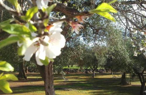 Tenuta Serre - Foto 16