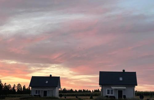 DoWielina - domki wśród natury - Foto 42