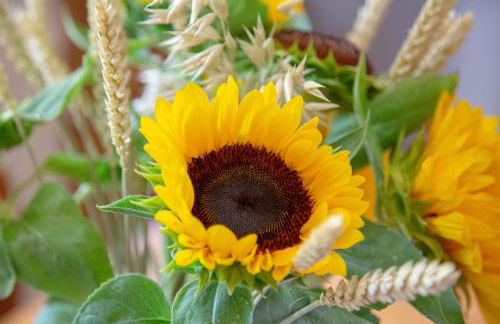 123 la casa nel bosco - Foto 30