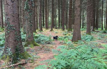 The Stables at Hustyn Gate - Foto 34