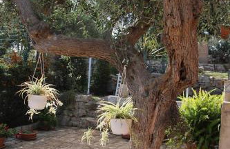 villa lanterna - Foto 14