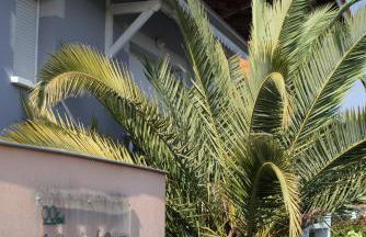 Appartement 90 m2 avec parking terrasse balcons, proche du port et plages - Foto 47