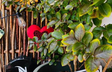 Chez Simone - Foto 22